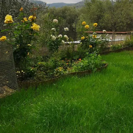 Rose House * Rethimno